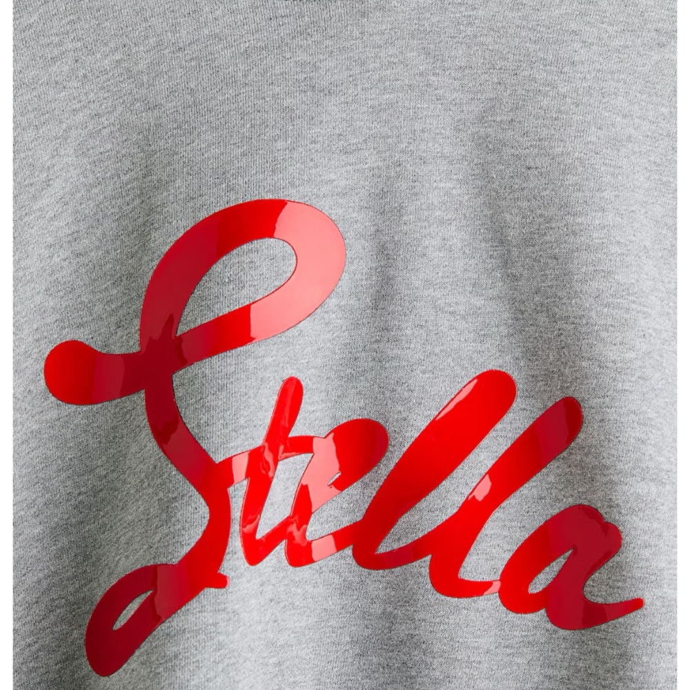 H&M x Stella McCartney Gray Oversized Hoodie with Red Script Logo - Picture 3 of 3
